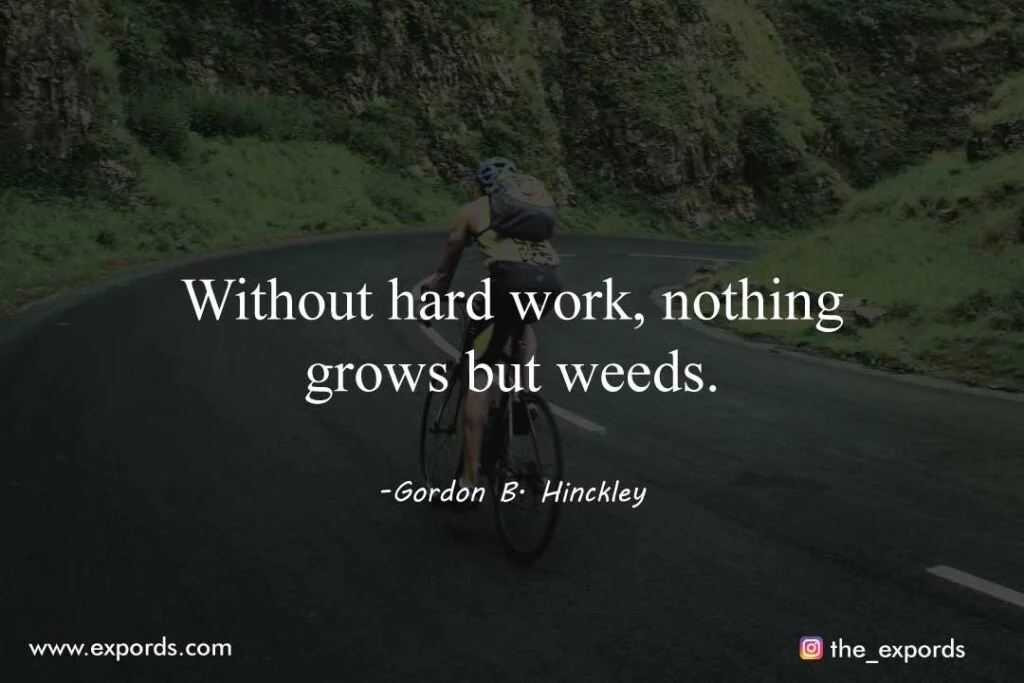 Hard Work Quotes